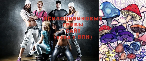 jwh Белокуриха