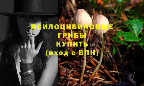 jwh Белокуриха