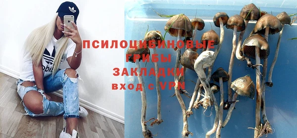 гашик Белоозёрский