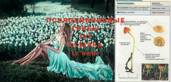 jwh Белокуриха